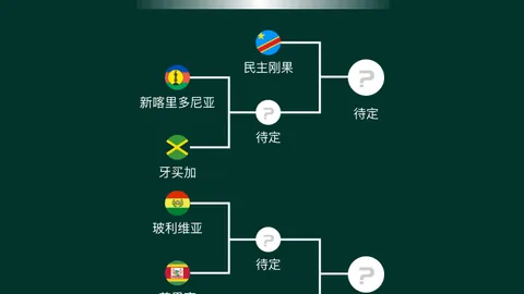 篮球赛事解析：太阳对阵黄蜂赛况详解